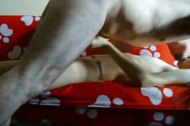 Bokep Indo ABG Bispak Nyewain Diri Servis Mantap